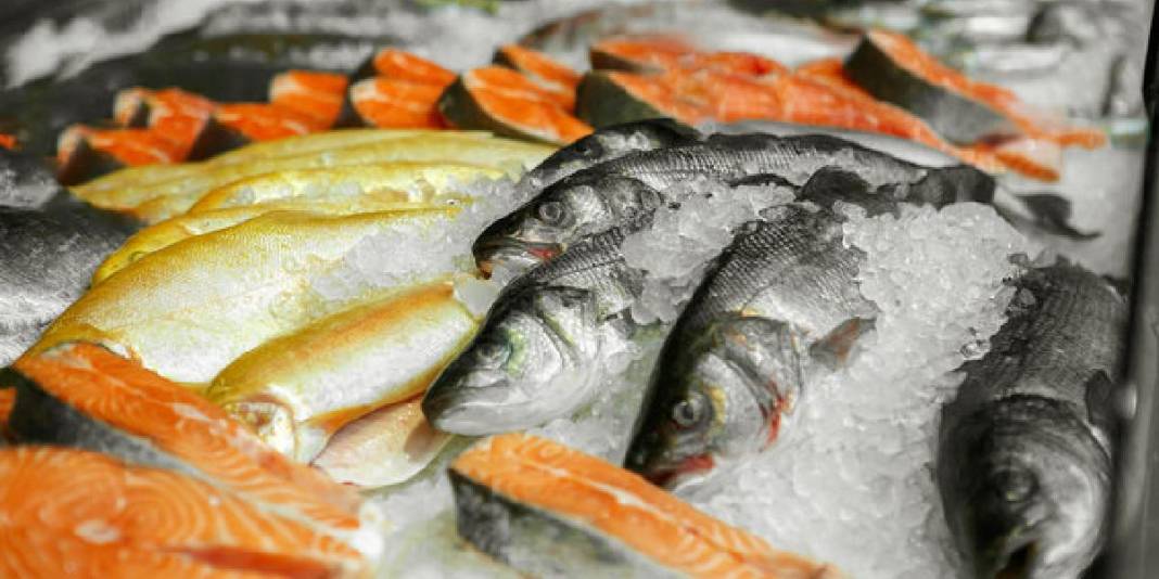 Vitamin yerine zehir yemeyin! Balıklarda büyük tehlike: Prof. Dr. Meltem Sarıoğlu uyardı 2